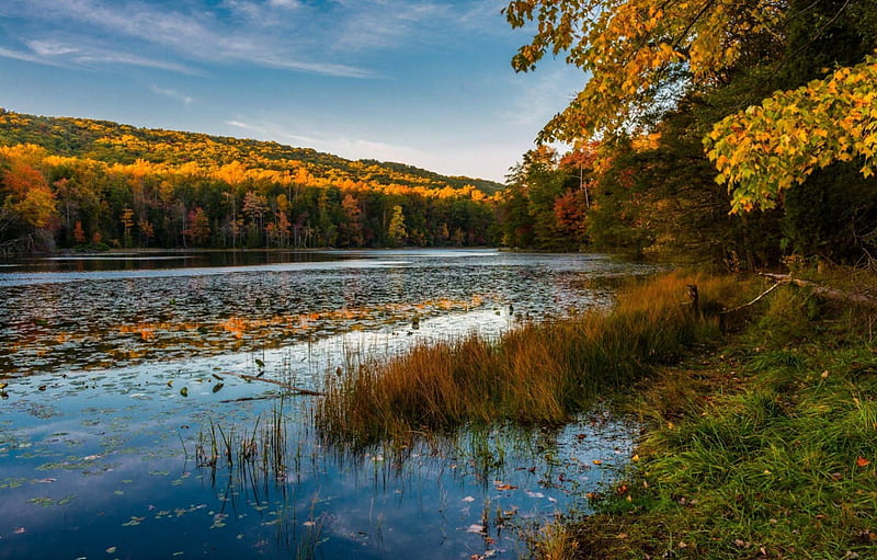 Fall in Tennessee, Fall, Leaves, Trees, River, HD wallpaper