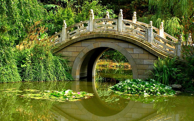 Stone bridge over the pond, bonito, mirrored, nice, calm, bridge, green, stone, reflection, lovely, clear, greenery, lilies, emerald, lake, pond, water, plants, peaceful, summer, nature, HD wallpaper