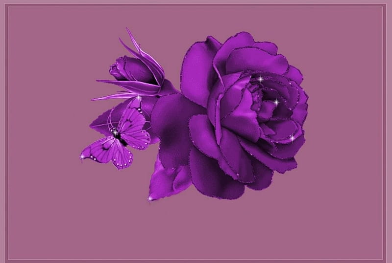 PURPLE ROSE, FLOWER, ROSE, PURPLE, BUTTERFLY, HD wallpaper | Peakpx