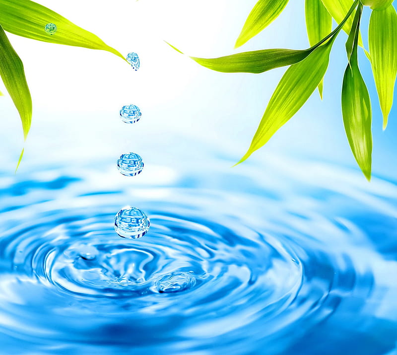 Spa Drops, leaves, water, zen, fresh, spa, drops, bamboo, HD wallpaper |  Peakpx
