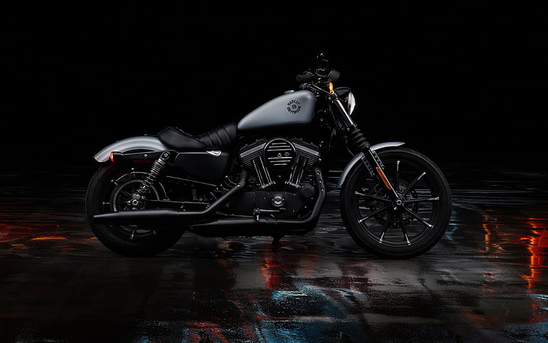 Harley-Davidson Sportster Iron XL 883, side view, 2020 bikes, su[erbikes,  american motorcycles, HD wallpaper | Peakpx