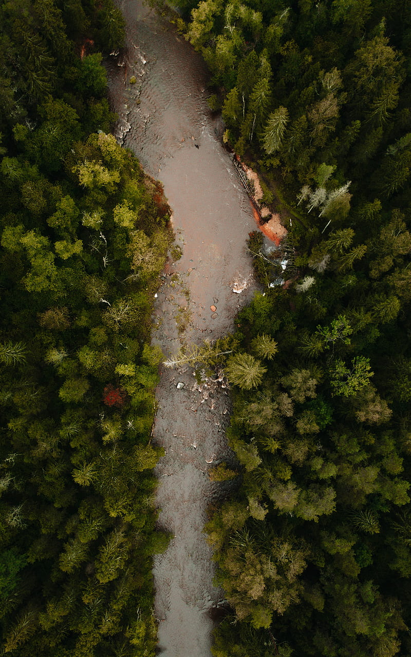 river, aerial view, winding, forest, trees, HD phone wallpaper