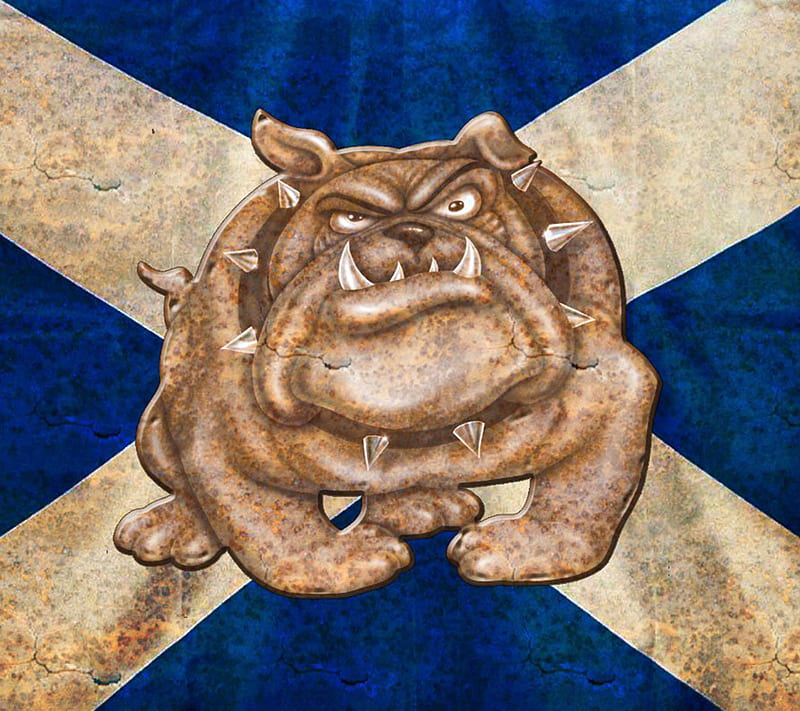 Scottish Bulldog, dog, flag, saguaro, HD wallpaper