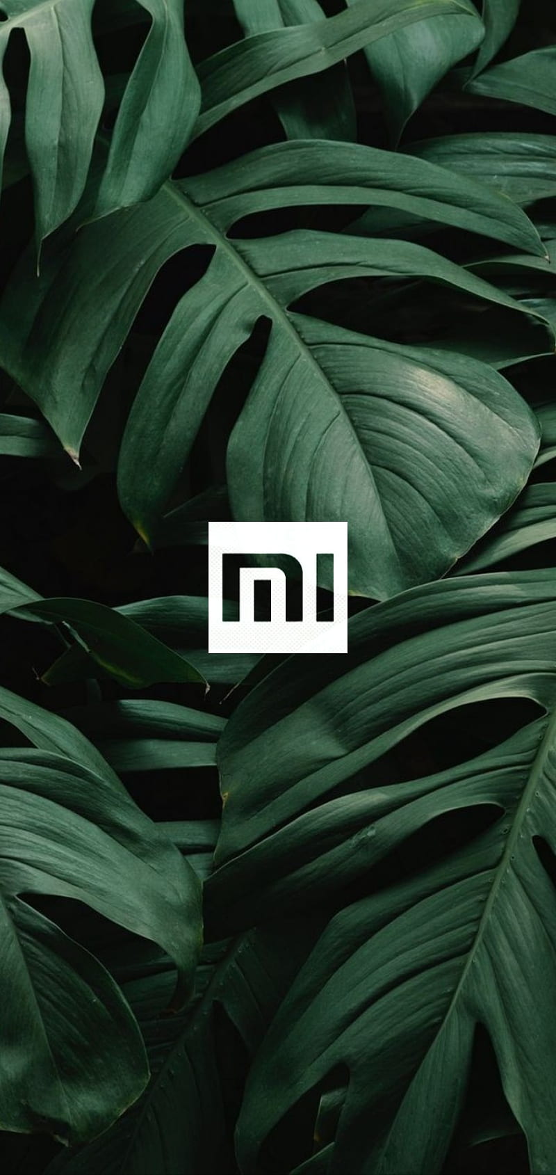 10 Free High Quality Xiaomi Redmi Note 8 Nature Wallpapers  Mobile Tawk