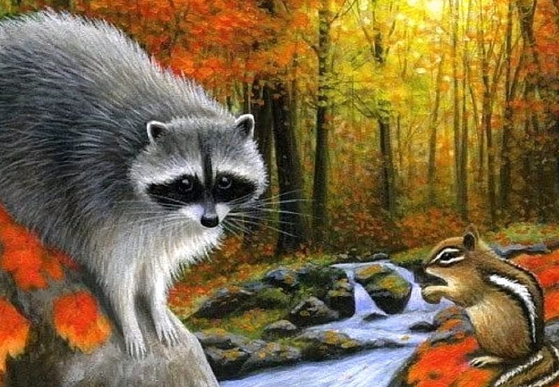 Autumn Greetings, raccoons, fall, draw and paint, autumn, squirrel, love four seasons, creek, paintings, nature, forests, animals, HD wallpaper