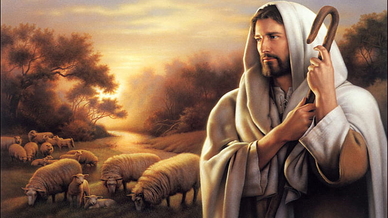 Jesus With Flock Of Sheep God, HD wallpaper