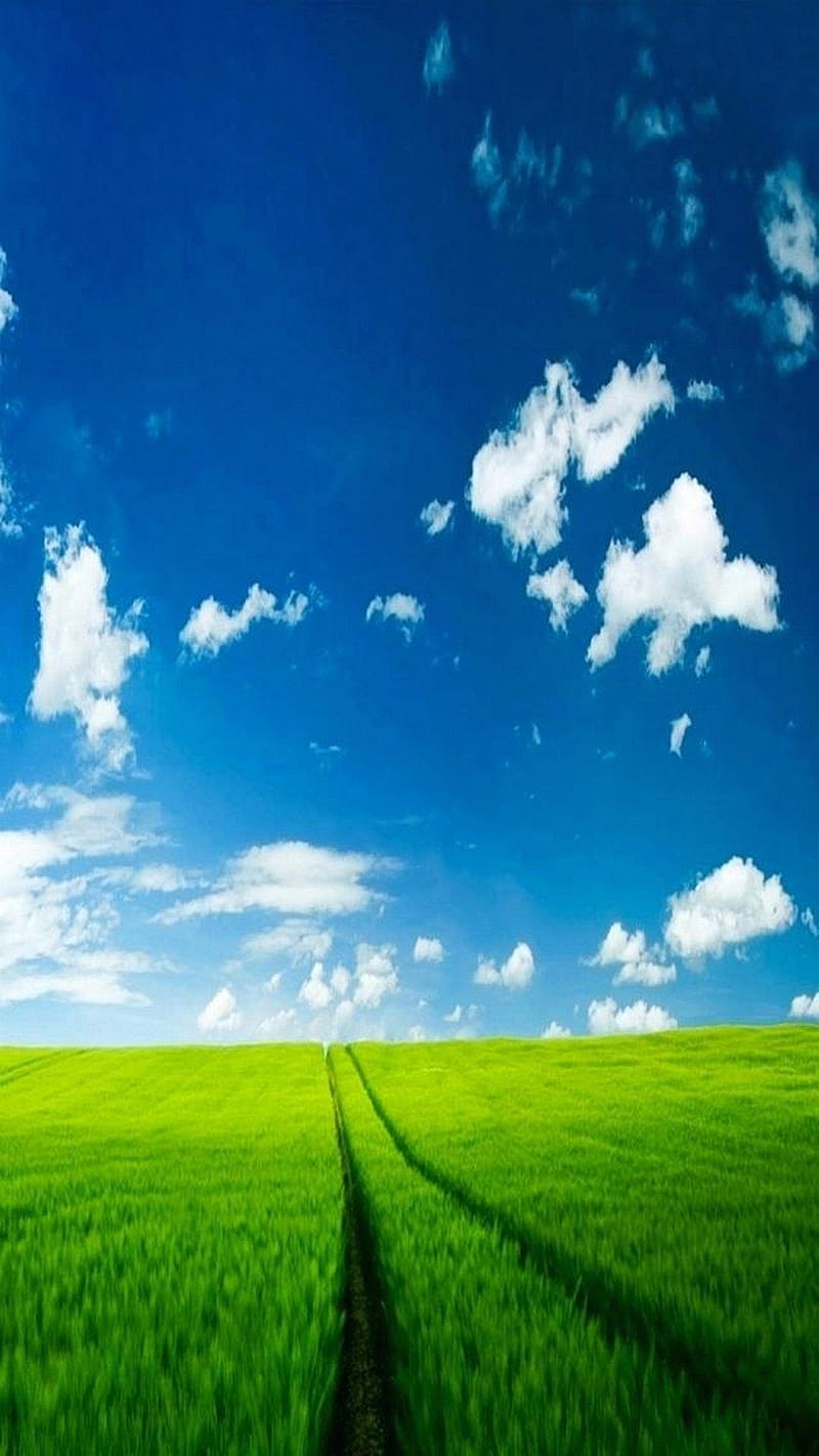 Samsung Galaxy A7, farm, sky, HD phone wallpaper