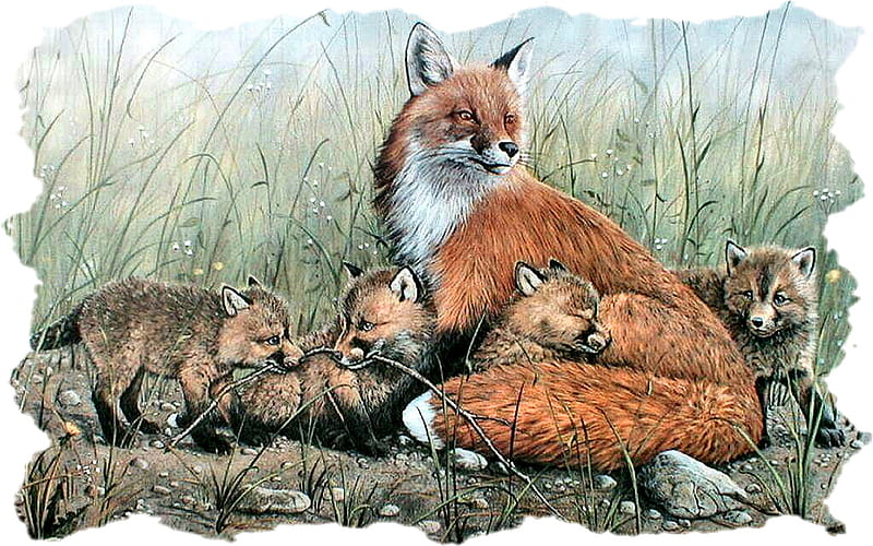 Red Fox and Kits 1, art, mother fox, litter, artwork, canine, animal, fox, painting, wide screen, kits, red fox, HD wallpaper