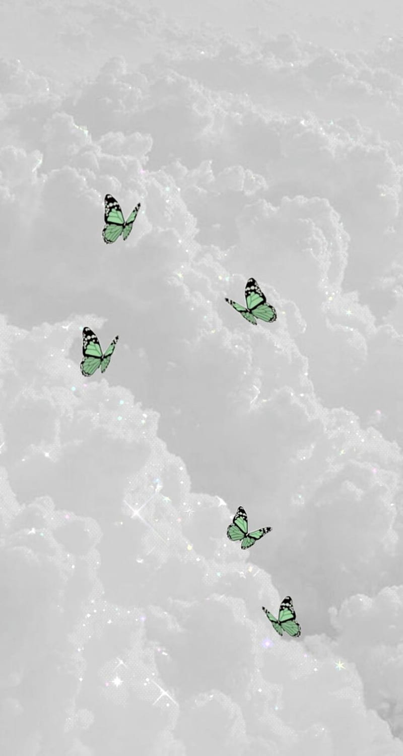 Sage Green Aesthetic Wallpaper Discover more aesthetic iphone aesthetic  pictures c  Mint green wallpaper iphone Iphone wallpaper plants Green  aesthetic tumblr