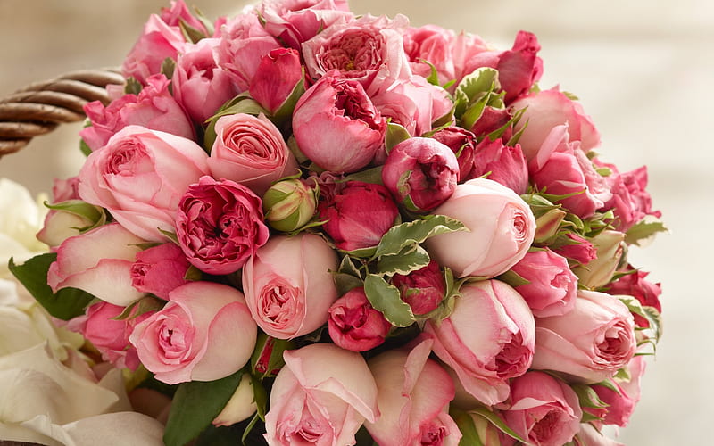 pink roses, rose bouquet, pink flowers, roses, HD wallpaper
