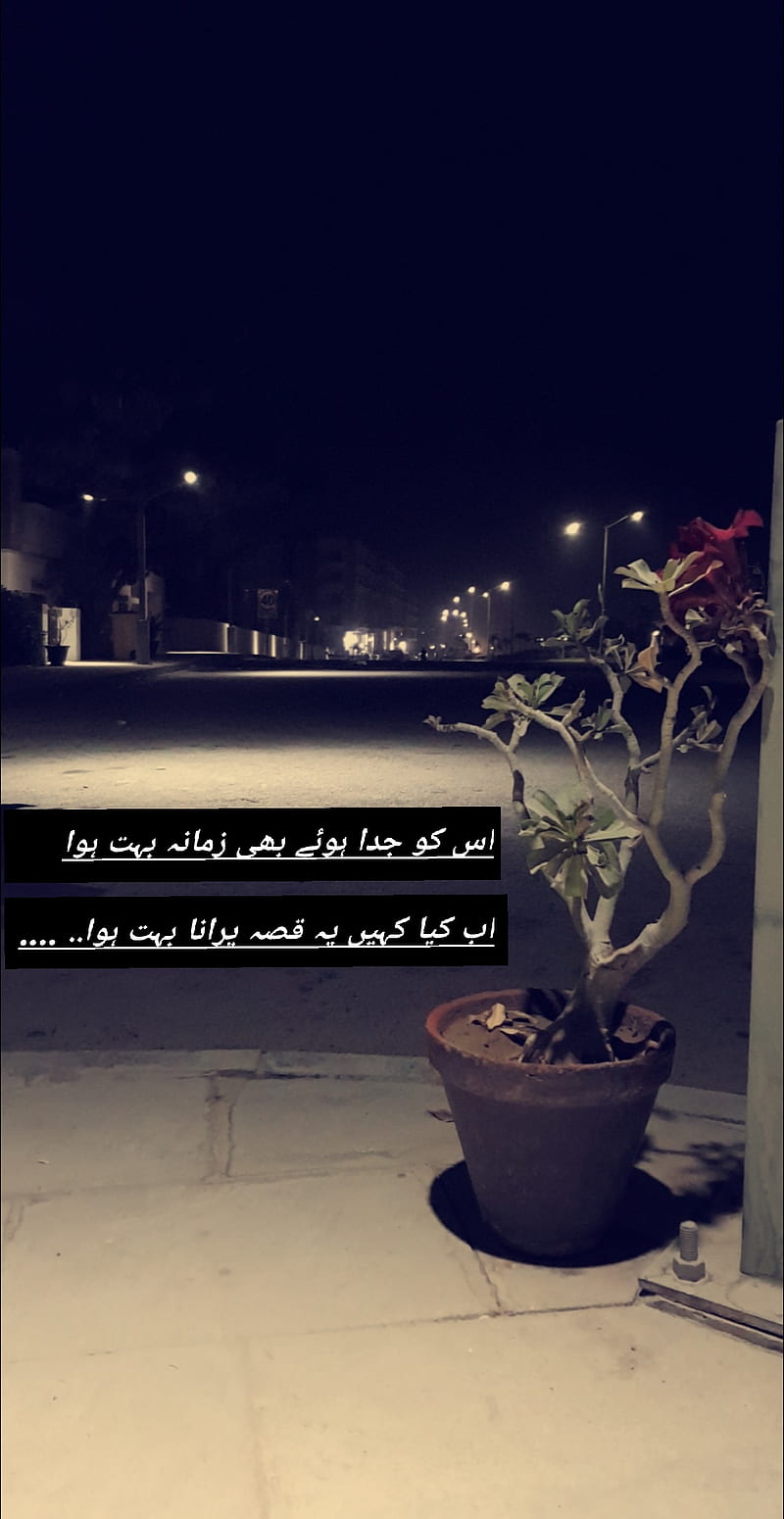 Jaun elia, pakistan, winter, HD phone wallpaper