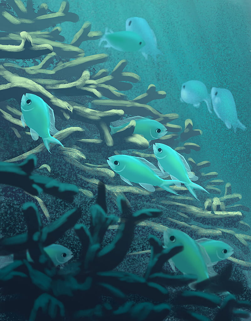 fish, algae, sea, underwater, art, HD phone wallpaper