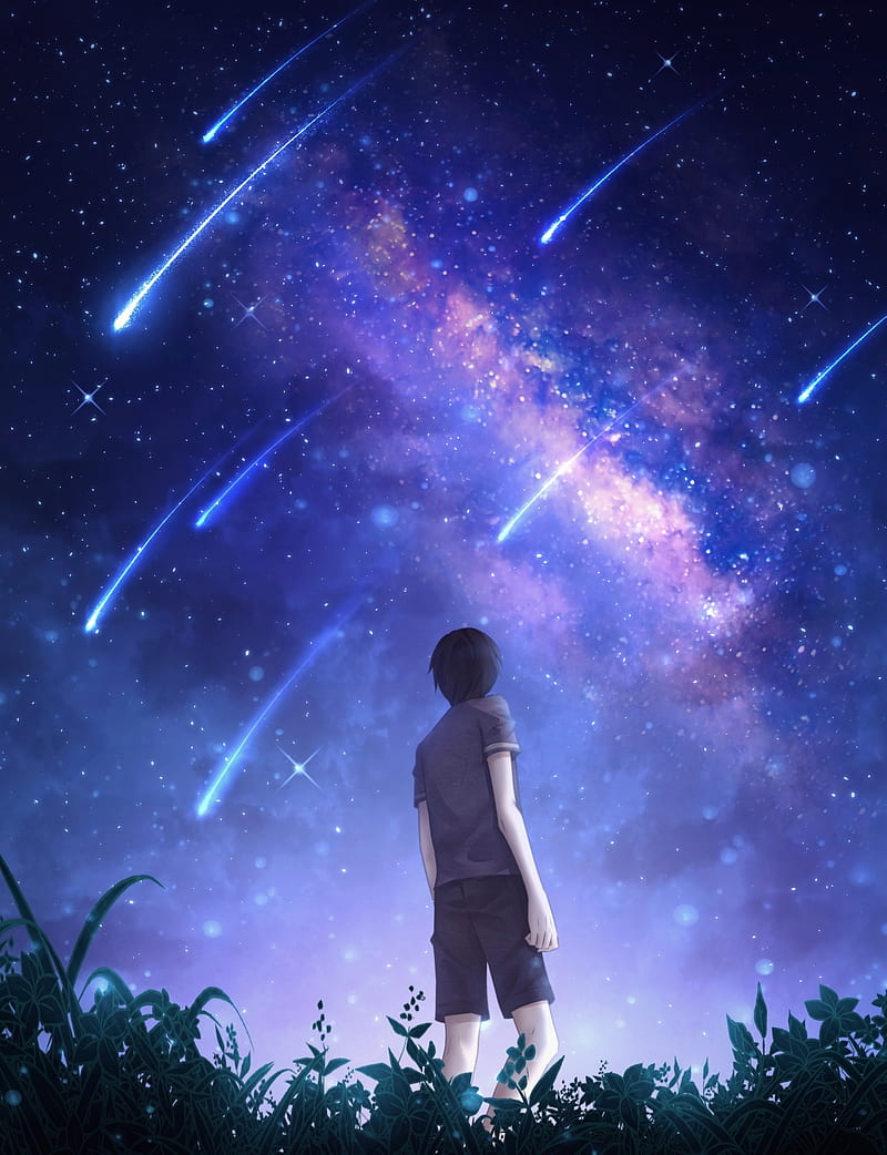 silhouette, starry sky, meteors, starfall, night, art, HD phone wallpaper