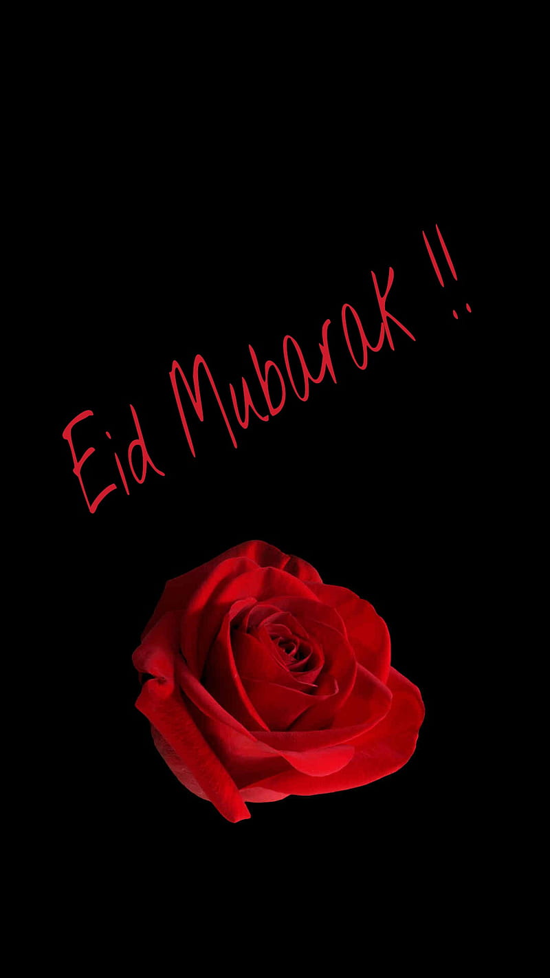 Eid Mubarak, background, eid ul fitar, happy eid, islam, wish, HD phone wallpaper