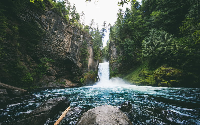 Toketee Falls, Waterfall, river, forest, beautiful scenery, USA, Oregon, HD wallpaper