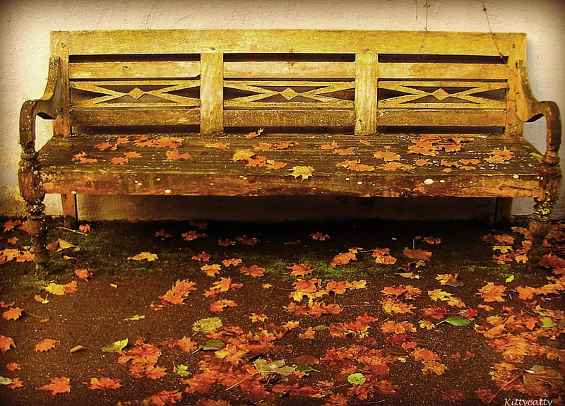 Autumn Park Bench , forest, fall, autumn, bench, park, novembre, leaves, gloomy, tristesse, wood, HD wallpaper