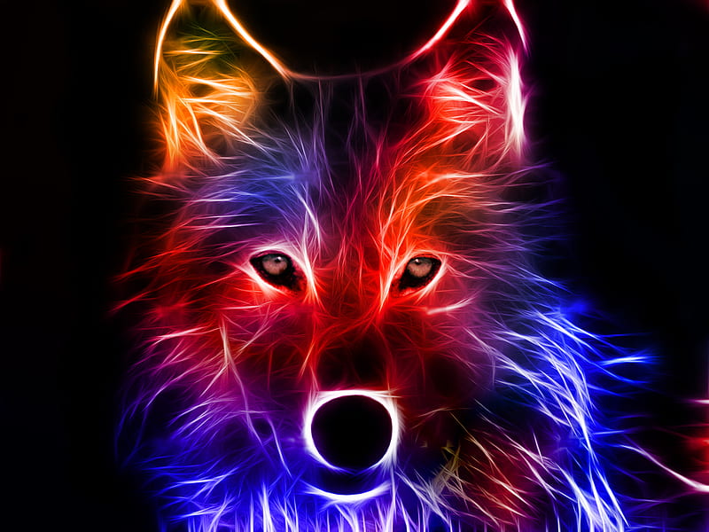 Fractal, lobo, animales, coloridas, lobos, Fondo de pantalla HD | Peakpx