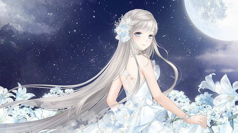 Holy Land, pretty, dress, divine, bonito, adorable, silver, sweet, blossom, nice, moon, anime, beauty, anime girl, scenery, long hair, star, gorgeous, female, lovely, gown, sky, cute, kawaii, girl, flower, petals, lady, scene, maiden, HD wallpaper