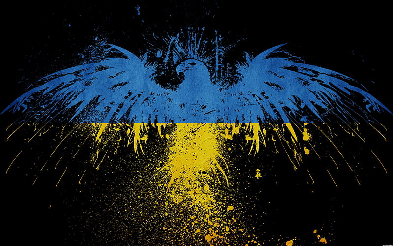 ukrainian eagle, patriotic, ukraine, eagle, national colors, flag, HD wallpaper