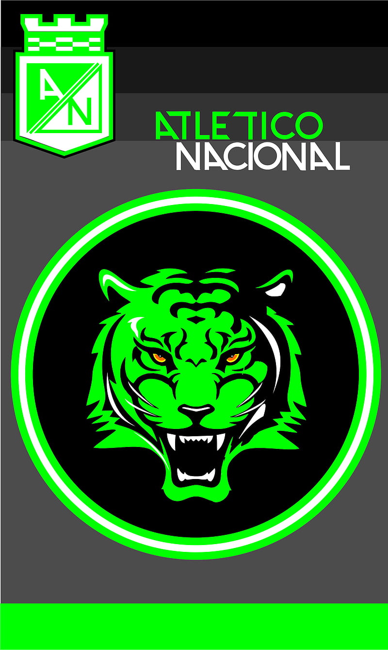 Atletico Nacional 5, atletico nacional, colombia, football, tiger, verde, HD phone wallpaper