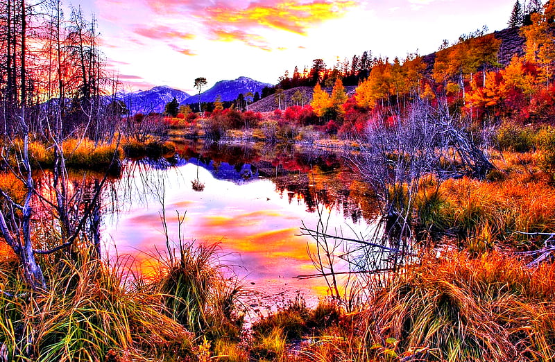 If I were there, ...., pretty, orange, yellow, clouds, calm, grasses, mounts, peak, beauty, season, reflection, hills, lovely, sky, trees, water, mountains, landscape, red, colorful, autumn, bonito, graphy, leaves, scenery, pink forest, view, lake, leaf, tree, peaceful, nature, branches, scene, HD wallpaper