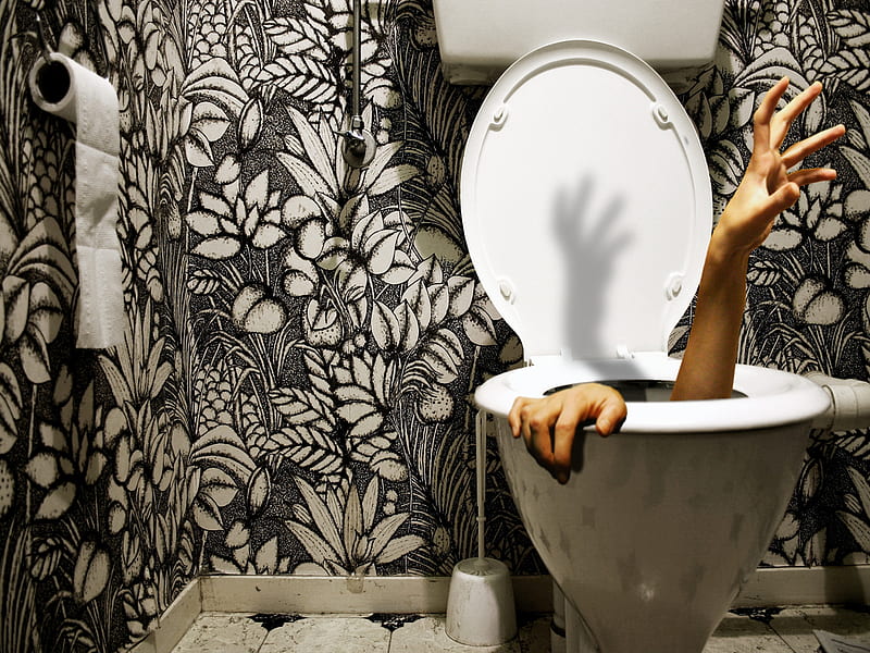 Flushed, man, toilet, humour, HD wallpaper