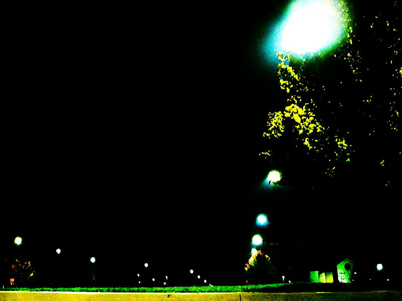 Green Lot, parking, dark, trees, lot, lights, night, HD wallpaper