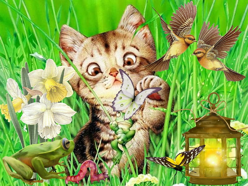 Baby Cat, buterfly, flower, birds, spring, cat, field, HD wallpaper ...