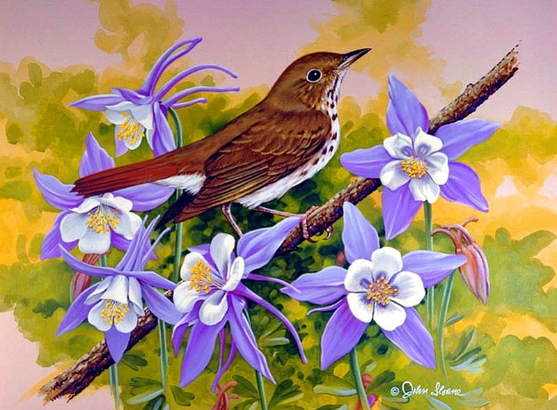 Hermit thrush, pretty, art, lovely, fresh, bonito, animal, sweet, cute, leaves, nice, song, nest, bird, painting, flowers, HD wallpaper