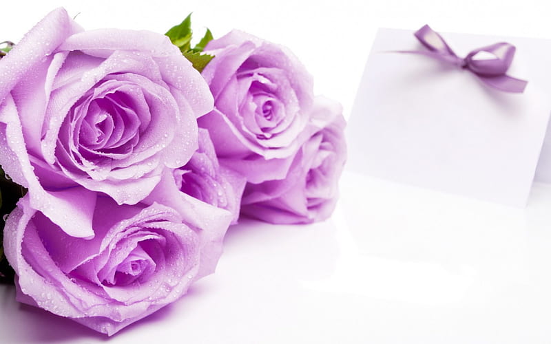 For you!, rose, bow, valentine, mother, card, purple, flower, day ...