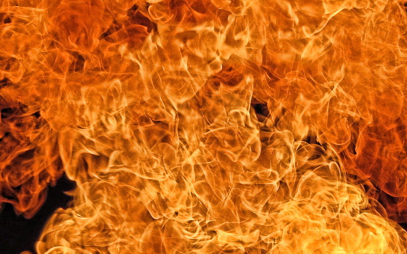 fire, flame, flames, fire on a black background, texture with fire, HD wallpaper