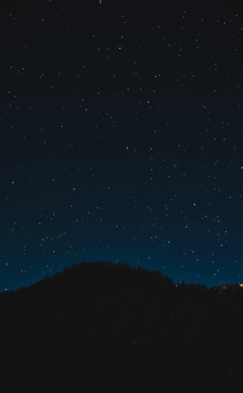 starry sky, night, trees, stars, shine, sky, HD phone wallpaper