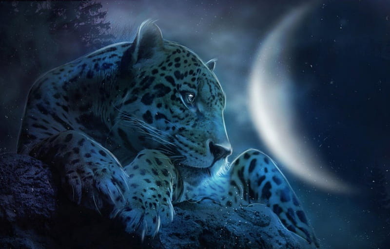 Snow leopard fantasy, fantasy, luminos, snow leopard, animal, blue, HD  wallpaper