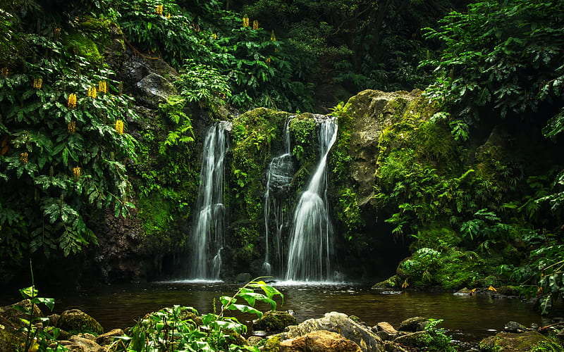 rock, waterfall, forest, lake, Portugal, Parque Natural da Ribeira dos Caldeiroes, HD wallpaper