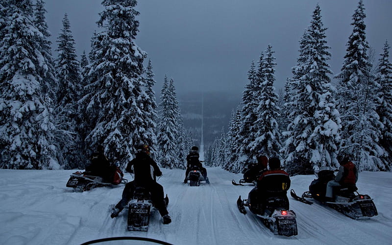 Snowmobiling the Norway-Sweden Border, border, snowmobile, scenic, winter, HD wallpaper