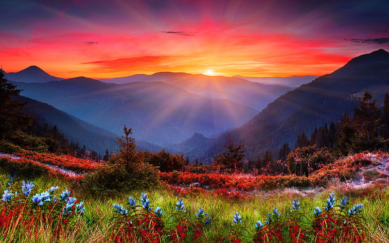 Mountain sunset, pretty, amazing, lovely, view, grass, bonito, sunset, sky, valley, sundown, mountain, rays, wildflowers, flowers, nature, landscape, HD wallpaper