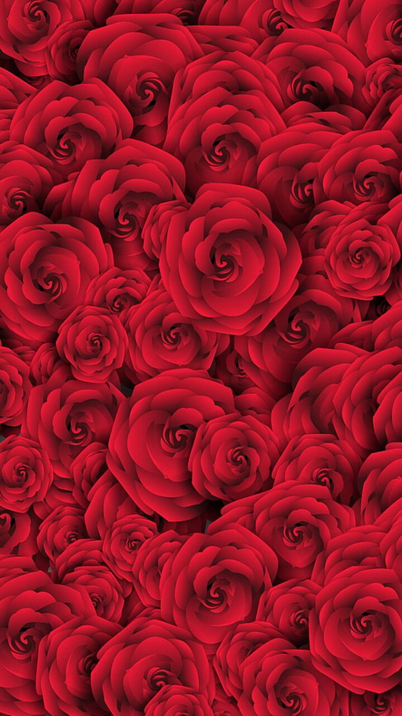 Flowers, red, roses, HD phone wallpaper
