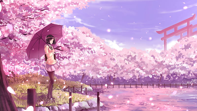 Cute anime girl, profile view, sakura blossom, white dress, umbrella, Anime,  HD wallpaper