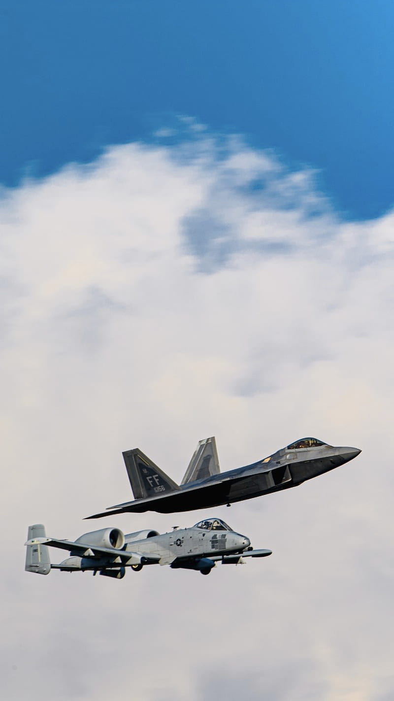 Warthog and Raptor, air, aircraft, airplane, force, jet, jets, HD phone wallpaper