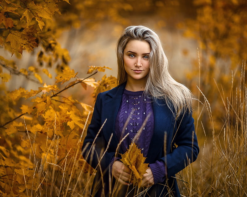 Hermosa chica, otoño, modelo, mujer, al aire libre, Fondo de pantalla HD |  Peakpx