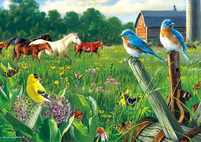 Summer, horse, blue, art, james hautman, yellow, vara, bird, green