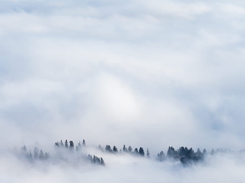 Clouds Snow Fog , fog, clouds, snow, nature, HD wallpaper