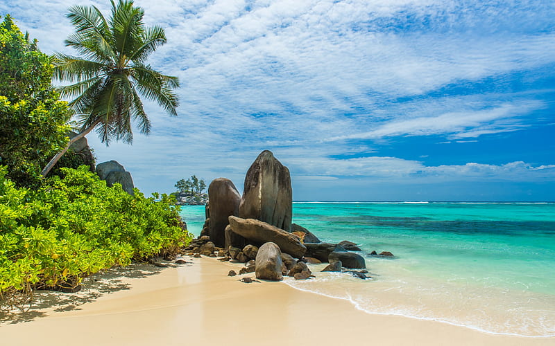 tropical island, Maldives, blue lagoon, ocean, azure, beach, palm trees, coast, summer travels, HD wallpaper