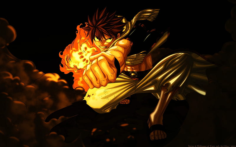 Fairy Tail, Anime, Manga, Natsu Dragneel, Fire, Dragon, Mage, Father And  Son, HD wallpaper