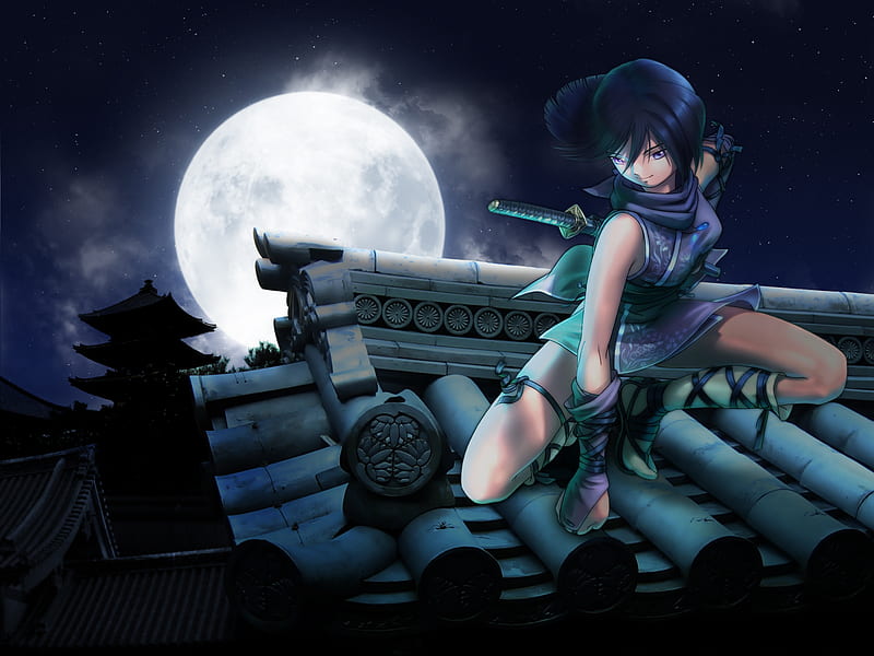 Ninja - Moon light, moon, female, japanese, anime, sword, roof top, ninja,  HD wallpaper | Peakpx