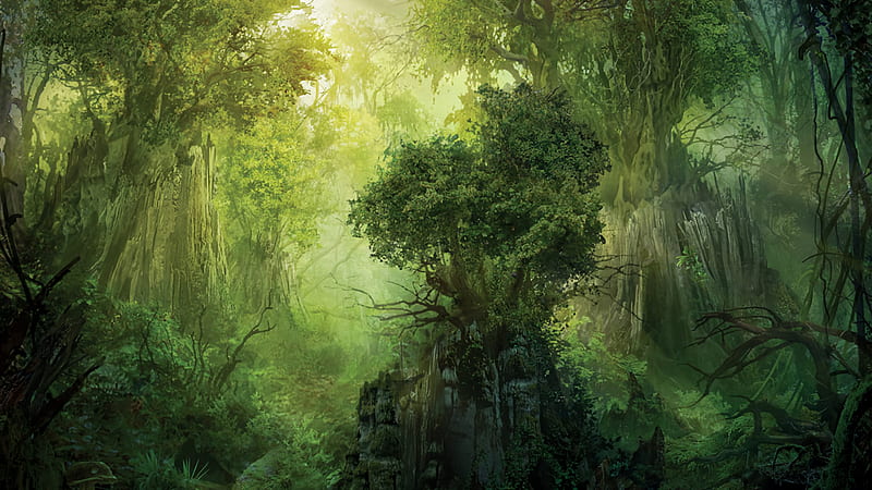 Fantasy Forest Rock And Trees Magic The Gathering, HD wallpaper