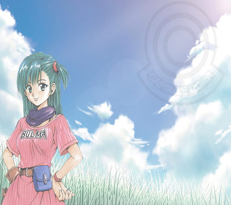 Bulma Briefs, anime, bulma, capsule, corp, dbz, girl, trunks, vegeta, HD wallpaper