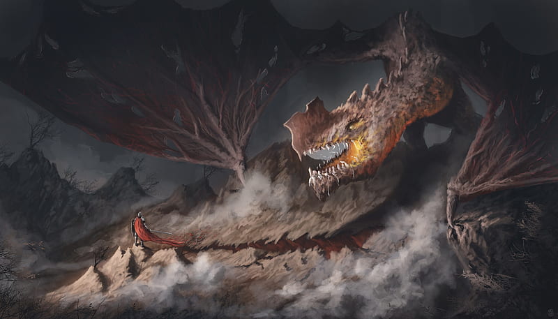 dragon vs knight, armor, cape, artwork, wings, Fantasy, HD wallpaper