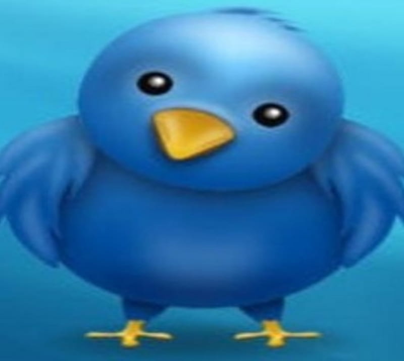 Angry Bird, animals, cartoons, twitter, HD wallpaper | Peakpx