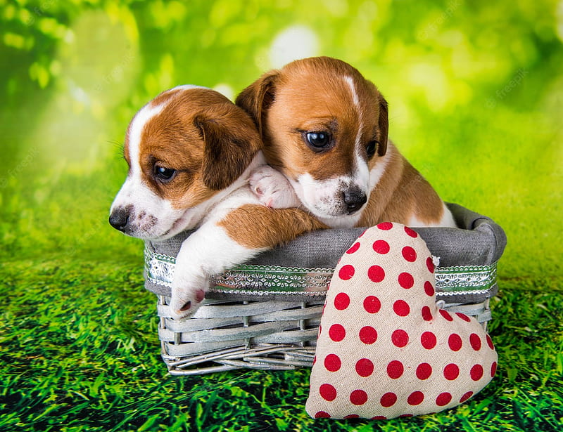 Easter Puppy . Vectors, Stock & PSD, Cute Easter Dog, HD wallpaper